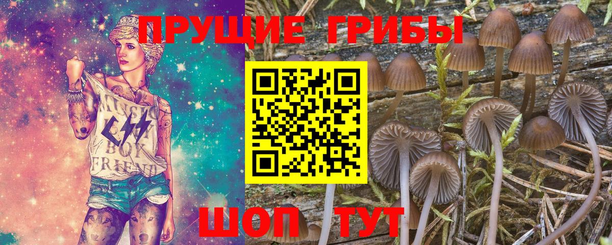 Галлюциногенные грибы GOLDEN TEACHER Прохладный