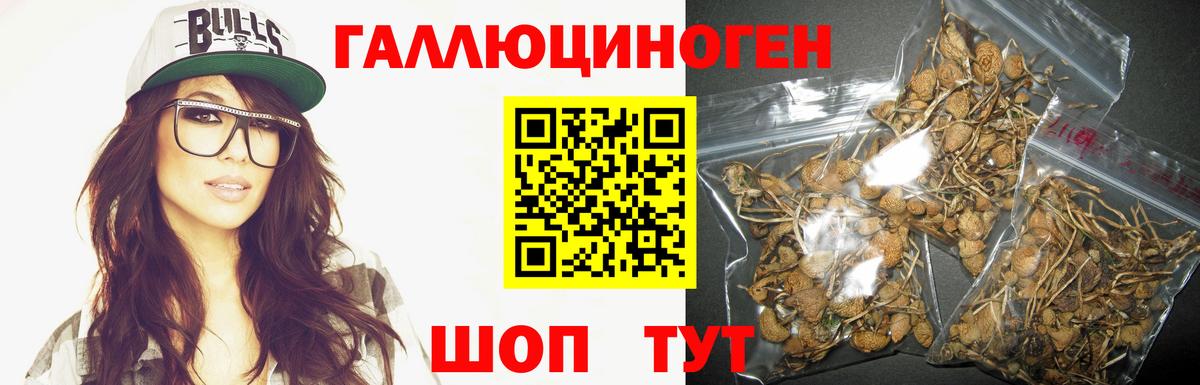 как найти закладки  Вход с VPN  Прохладный  Галлюциногенные грибы прущие грибы  Галлюциногенные грибы Cubensis 