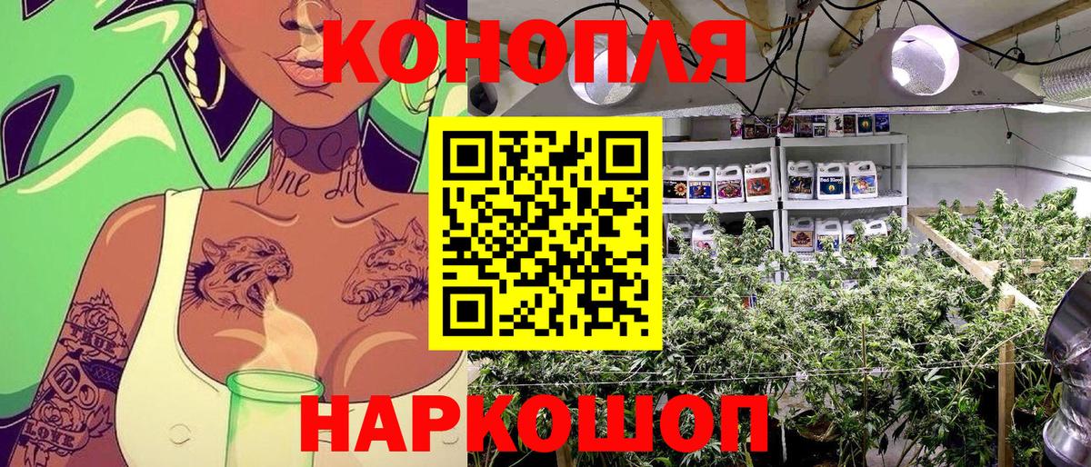Канабис AK-47 Прохладный